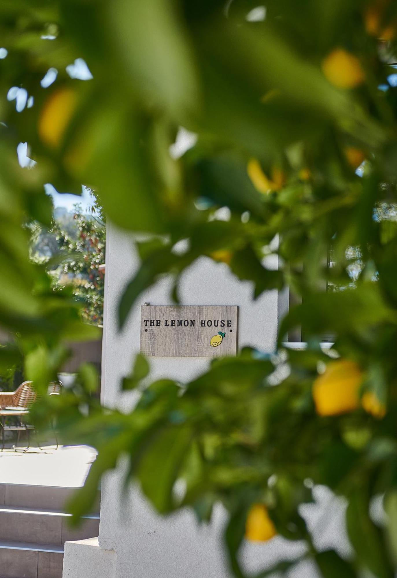 The Lemon House Apartment Artemida  Ngoại thất bức ảnh